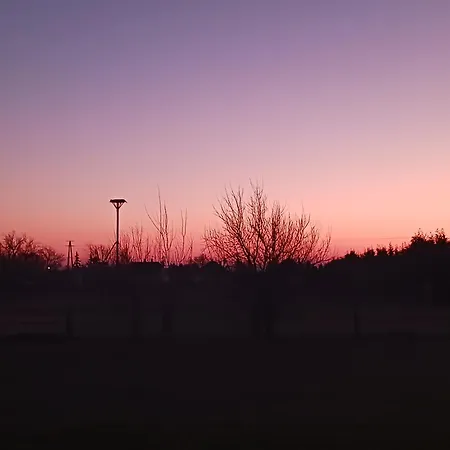Mexico Puszta - Naehe Neusiedlersee - Seewinkel - Kroiss Silvia * Fertoujlak